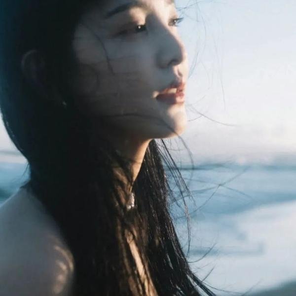 齐姆与友